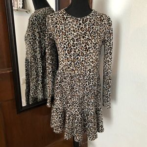 Zara Leopard Swing Dress